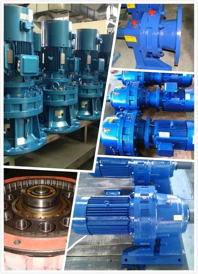 BW/BWD/XW/XWD/BL/BLD/XL/XLD planetary cycloid pinwheel reducer/cycloidal gearbox